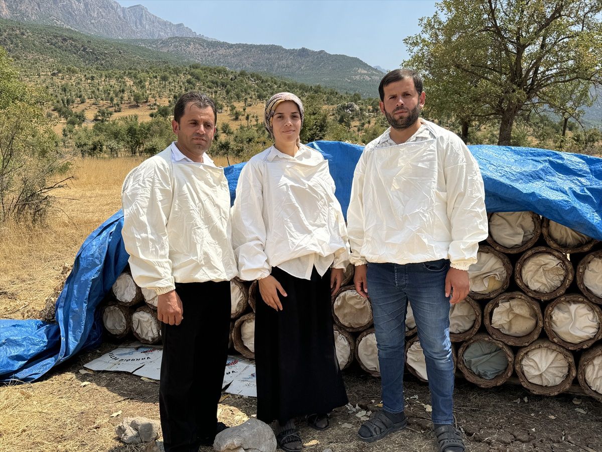 Siirt'te 3 kardeş dedelerinden kalma arıcılığı sürdürüyor