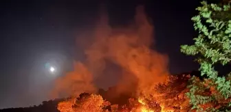 Hatay'ın Kırıkhan ilçesinde ormanlık alanda çıkan yangın söndürüldü