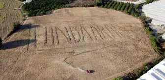 Çiftçi, hayranı olduğu sanatçının adını tarlasına yazdı