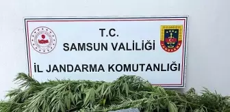 Samsun'da Uyuşturucu Operasyonu: 200 Gram Esrar Ele Geçirildi