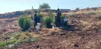 Güvenlik Korucusu Raşit Kaya'nın Ailesi Suçluların Yakalanmasını İstiyor