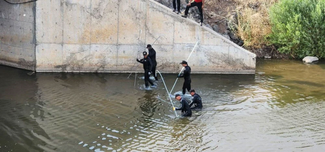 Sim kart ve kamera detayı korkunç! Narin'in katledildiği köyle ilgili tüyler ürperten detaylar