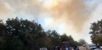 Samsun'da üniversite kampüsünde orman yangını çıktı