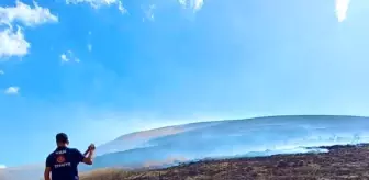 Van'da dağlık alanda çıkan yangın söndürüldü