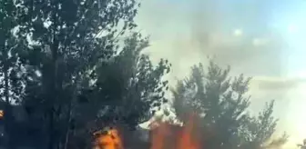 Sakarya'da Ağaçlık Alanda Yangın Çıktı, Sonrası Utanç Verici Manzara