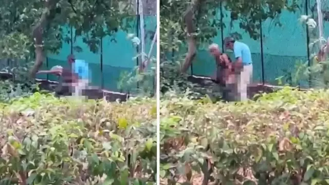 Another disgraceful incident in Izmir! An elderly couple engaged in sexual intercourse in the park without caring about anyone else.