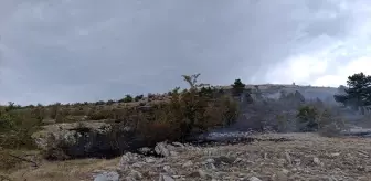 Bolu'daki örtü yangını ormana sıçramadan söndürüldü