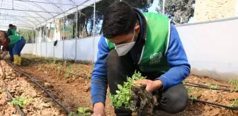 İHH, Öşürlerle İhtiyaç Sahiplerine Destek Ulaşıyor