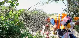 Ladik Belediyesi Piknik Alanlarını Temizledi