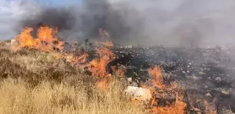 Silifke'de Otluk Alanda Yangın Çıktı