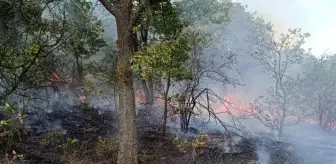 Kırklareli'nde Orman Yangını Kontrol Altına Alındı