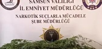 Samsun'da Uyuşturucu Operasyonu: 3 Gözaltı