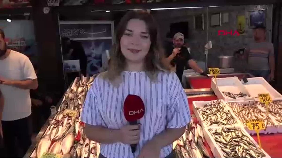 Karadeniz'de Palamut Bereketi: Fiyatlar Uygun