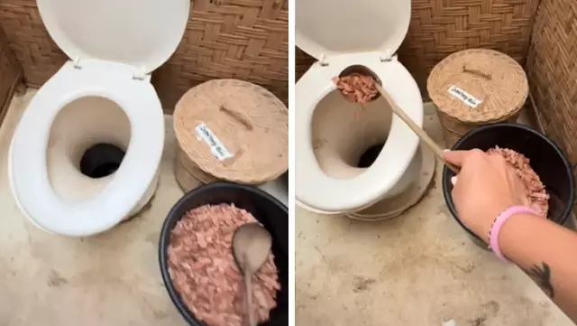 This toilet amazed onlookers! There isn't even a flush, so how is it cleaned?