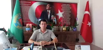 Fındık Üreticileri İçin Devlet Desteği Çağrısı