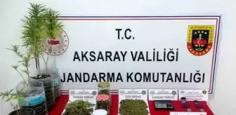 Aksaray'da Uyuşturucu İmalatı Yapan Şahıs Tutuklandı