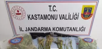 Kastamonu'da Uyuşturucu Operasyonları: 6 Gözaltı, 2 Tutuklama