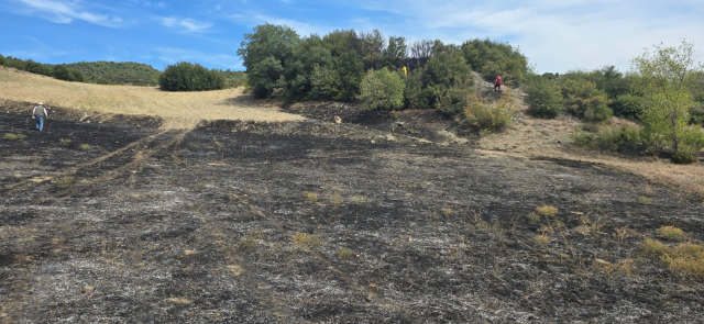 Committed suicide by chaining himself to an ATV and setting himself on fire