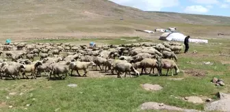 Erzurum'da Tarım Sektörü İçin Bilgilendirme Toplantıları Düzenlendi