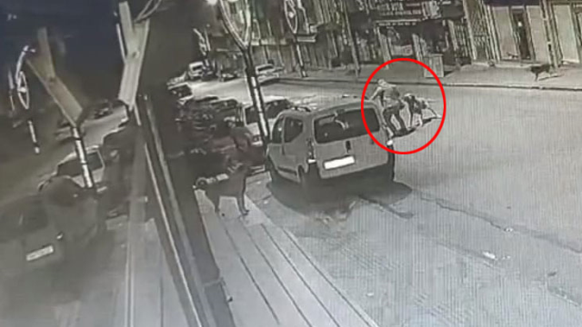 Terrifying stray street dog moment captured on camera! Shouts echoed through the street