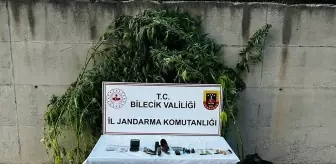 Bilecik'te Uyuşturucu Operasyonu: 1 Gözaltı!