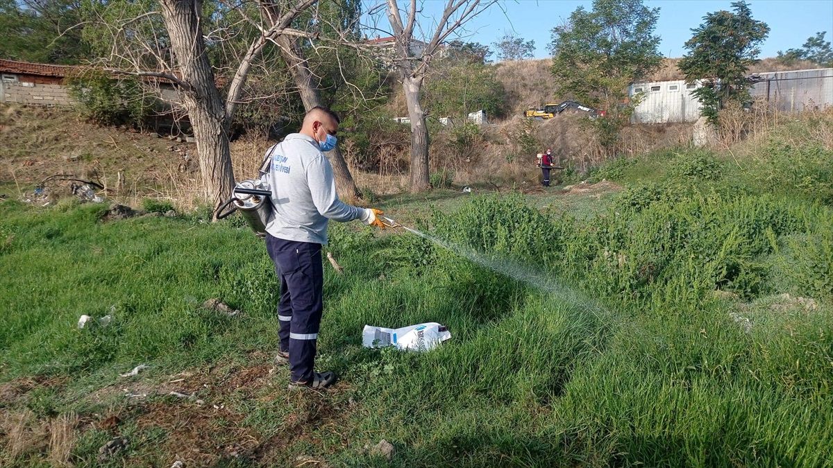 İlknur Acar'a Özel Eğitim Alanında Ödül