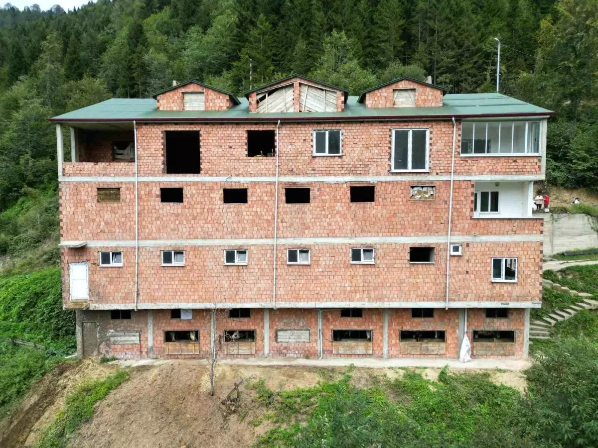 Duyanlar kulaklarına inanamıyor! 4 katlı apartman inşa edip 3 katını ineklere ayırdı