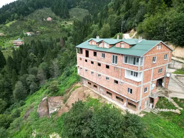 People can't believe their ears! Built a 4-story building and allocated 3 floors to cows