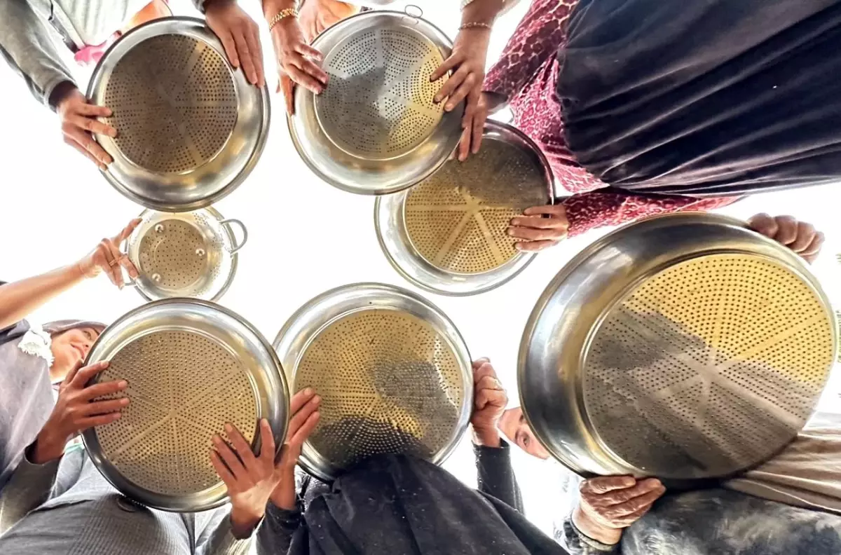 Yüksekova'da Kadın Çiftçilerden Eski Usul Yonca Tohumu Eleme Çalışması