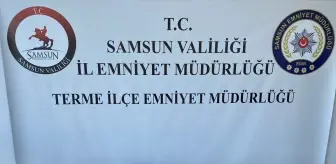 Samsun'da Ruhsatsız Silah Operasyonu: 6 Tabanca Ele Geçirildi