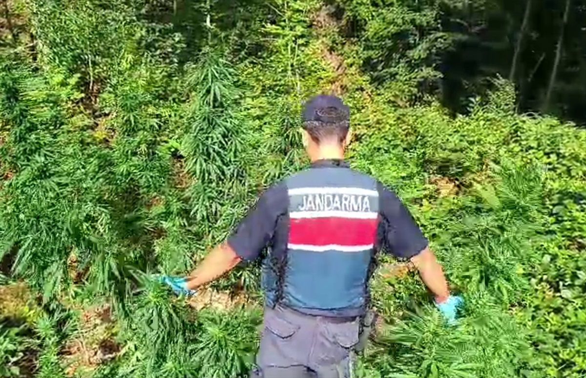 Samsun'da Uyuşturucu Operasyonu: 1 Gözaltı
