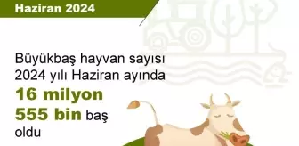 TÜİK Verileri: Büyükbaş Sayısı Azaldı, Küçükbaş Sayısı Arttı