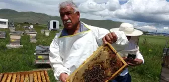 Ardahan Arıcılar Birliği Başkanı'ndan Sahte Ballara Dikkat Uyarısı