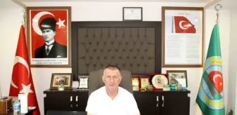 Kahverengi Kokarca Fındık Üretimini Tehdit Ediyor