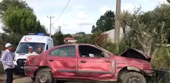 Sakarya'da Kontrolden Çıkan Otomobil Fidanlığa Uçtu