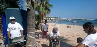 Didim'de Caretta Caretta Kaplumbağaları Bu Yıl Yumurtlamadı