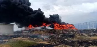 Malatya'da Hurda Alanında Yangın