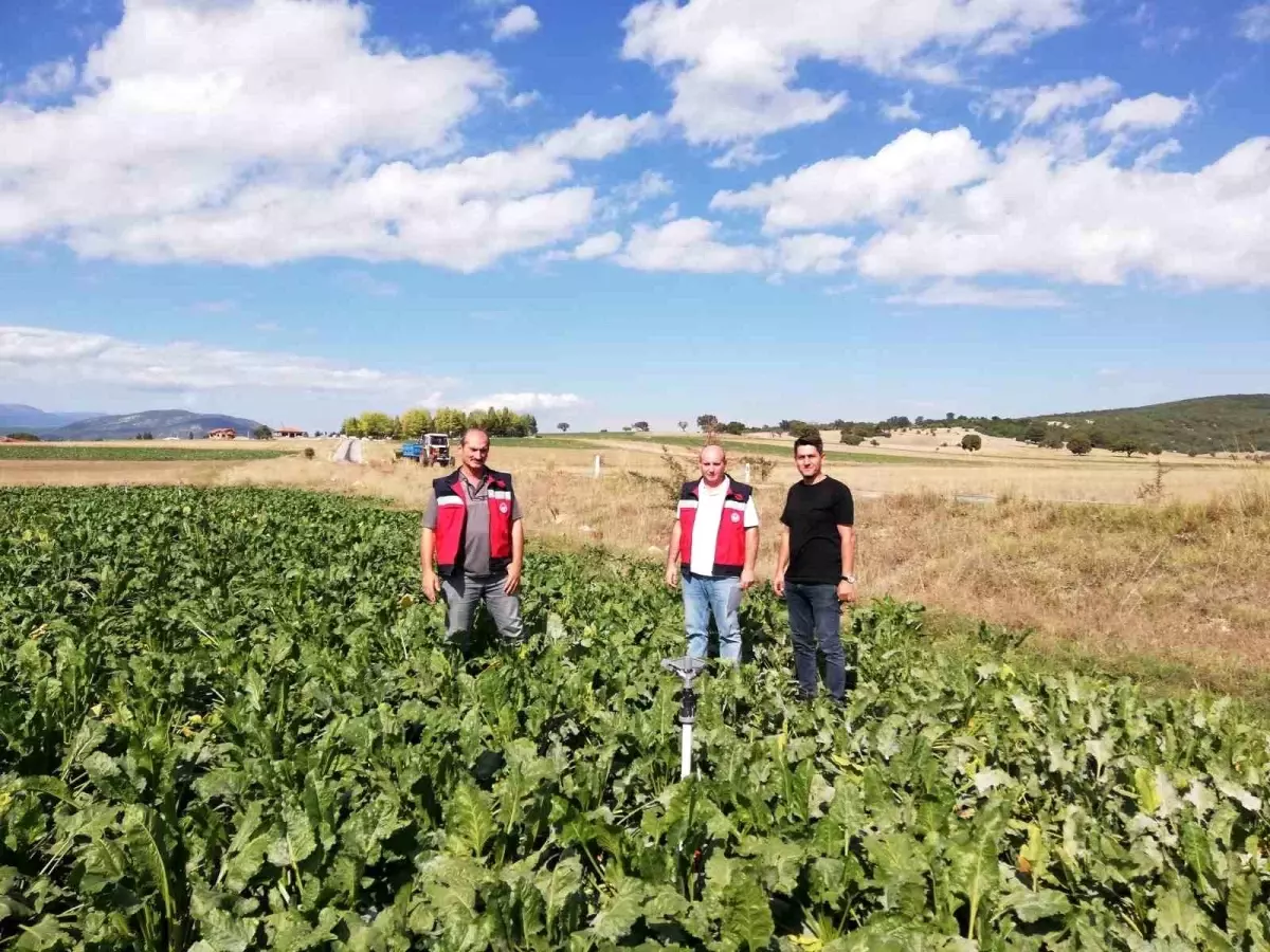 Kütahya'da Şekerpancarı Ekim Sahaları Denetlendi