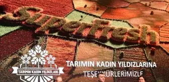 Tarımda Kadın Eşitliği için 'Tarımın Kadın Yıldızları' Projesi