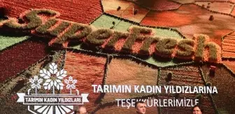 SuperFresh, 'Tarımın Kadın Yıldızları' Projesi ile Kadın Çiftçilere Destek Veriyor