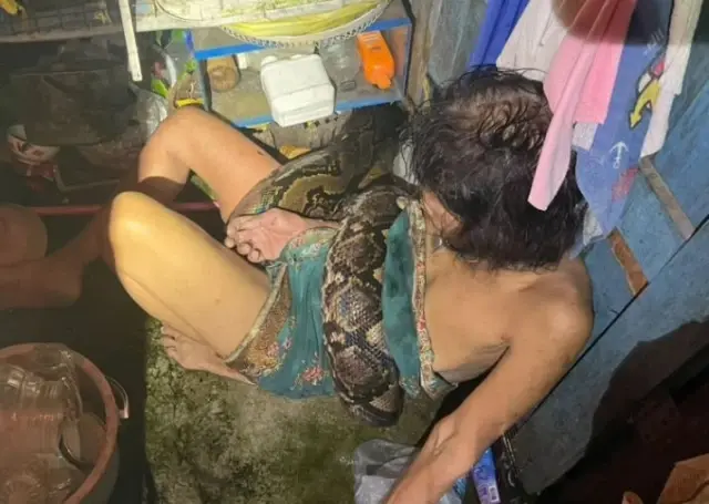 A 64-year-old woman in Thailand was attacked by a 4-meter python while washing dishes in the kitchen.