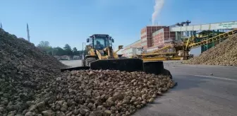 Amasya Şeker Fabrikası'ndan 71. Pancar Alım Kampanyası Töreni