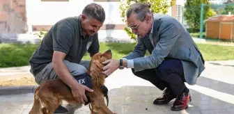 Erdal Beşikçioğlu, eğitimleri tamamlanan 5 sokak köpeğini belediye bünyesine aldı