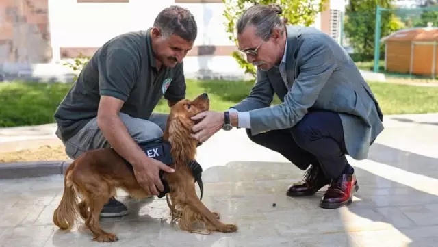 Erdal Beşikçioğlu has taken in 5 street dogs that have completed their training under the municipality.