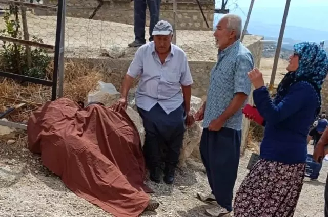 Mersin'de yol kavgası kanlı bitti: Baba, oğul ve gelin av tüfeğiyle öldürüldü