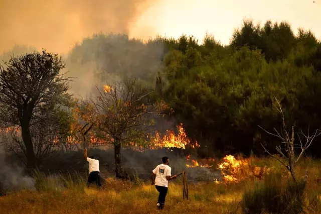 Hundreds of thousands of hectares have turned to ash! The largest fire in the country's history