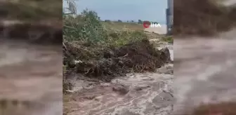 Ahlat'ta Sel Nedeniyle Kapanan Köy Yolları Açıldı