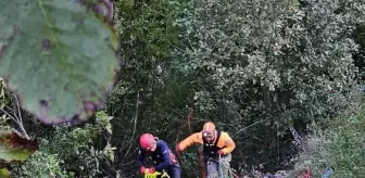 Artvin'de Uçurumdan Düşen Otomobilde 1 Kişi Hayatını Kaybetti