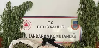 Bitlis'in Hizan ilçesinde uyuşturucu operasyonu