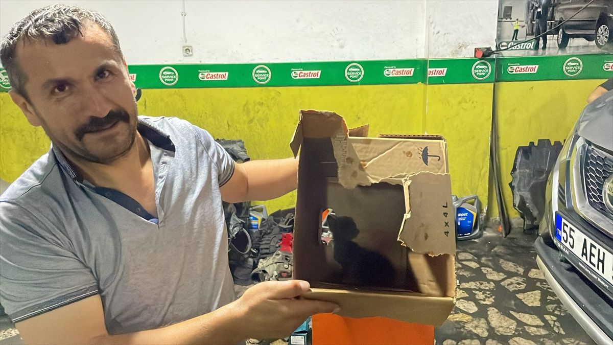 Samsun'da Aracın Motorundan Kedi Yavrusu Kurtarıldı